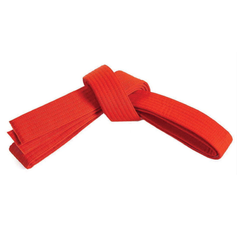 Double Wrap Striped Belt B-1