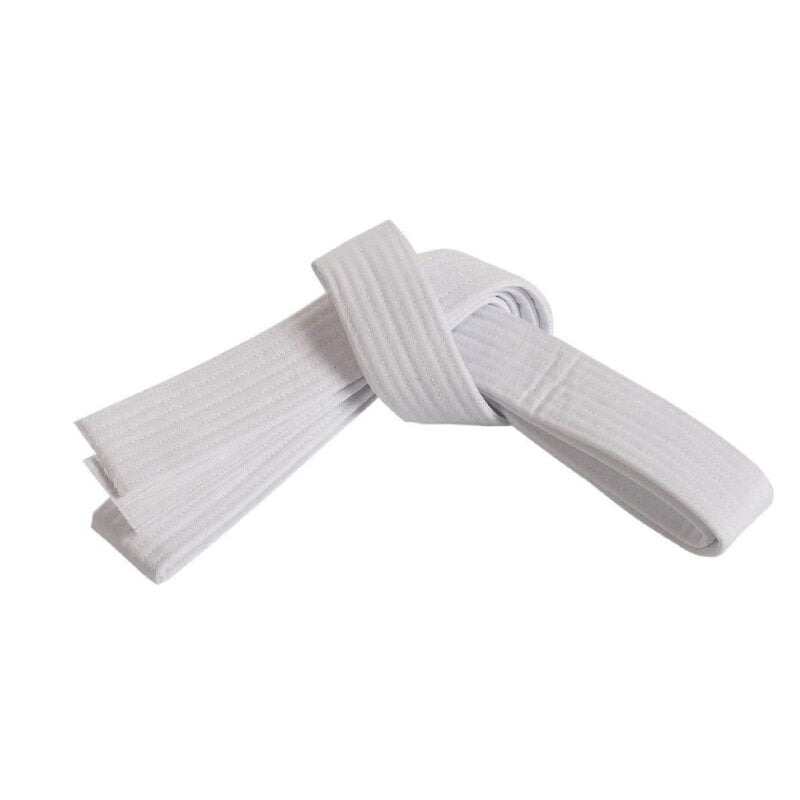 Double Wrap Striped Belt B-1